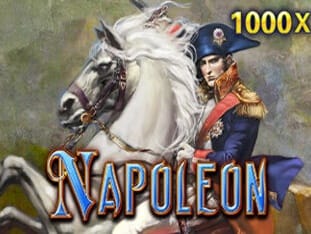 Napoleon game banner